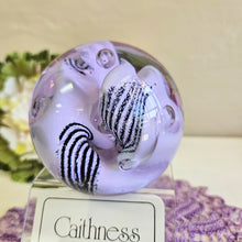 Load image into Gallery viewer, Caithness Collector's Club Snow Trail Paperweight 42506