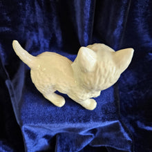 Load image into Gallery viewer, Beswick White Persian Kitten 25 08