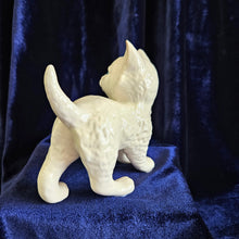 Load image into Gallery viewer, Beswick White Persian Kitten 25 08