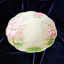 Load image into Gallery viewer, Royal Albert Oval Serving Bowl 42405