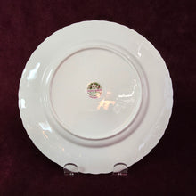 Load image into Gallery viewer, Royal Albert Flower of the Month 8-inch Plates 42510