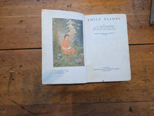 Load image into Gallery viewer, Original Novel "Emily's Climbs" 42606