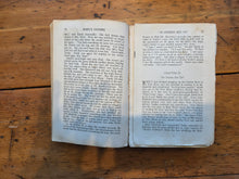 Load image into Gallery viewer, Original Novel "Emily's Climbs" 42606