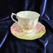 Load image into Gallery viewer, Royal Albert Blossom Time Cup & Saucer 42506