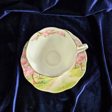 Load image into Gallery viewer, Royal Albert Blossom Time Cup & Saucer 42506
