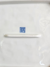 Load image into Gallery viewer, Blue & White Chinoiserie Porcelain Platter Serving Tray 24 52