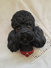 Load image into Gallery viewer, Dog Bossons 42509
