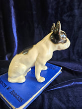 Load image into Gallery viewer, Vintage French Bulldog Porcelain 023
