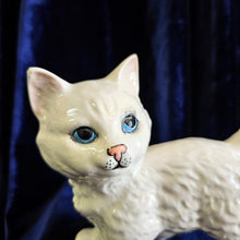 Load image into Gallery viewer, Beswick White Persian Kitten 25 08
