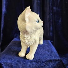 Load image into Gallery viewer, Beswick White Persian Kitten 25 08
