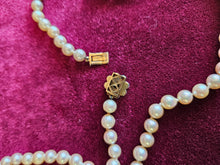 Load image into Gallery viewer, Cultured Pearl Necklace with 9kt Garnet &amp; White Pearl Clasp –42507
