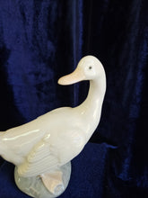 Load image into Gallery viewer, Nao Goose– Head Turned Back 42507
