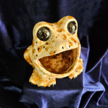 Load image into Gallery viewer, Frog Sponge Holder Orange Speckled  #42508
