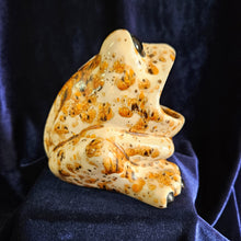 Load image into Gallery viewer, Frog Sponge Holder Orange Speckled  #42508

