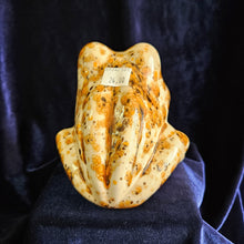 Load image into Gallery viewer, Frog Sponge Holder Orange Speckled  #42508
