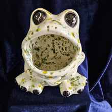 Load image into Gallery viewer, Frog Sponge Holder Green Speckled #42508
