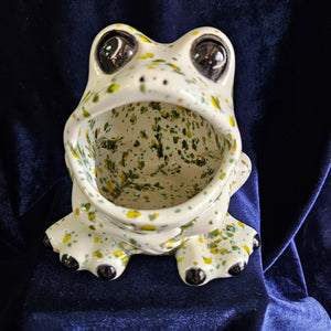 Frog Sponge Holder Green Speckled #42508