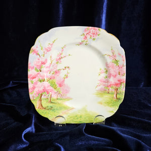 Royal Albert Blossom Time Luncheon/ Salad Plate 42410