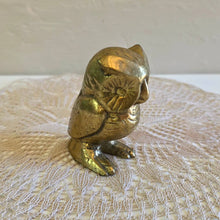 Load image into Gallery viewer, Brass Owl 42510004

