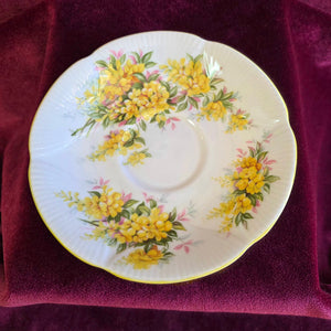 Royal Albert Blossom Time Series “Laburnum” 42510008