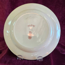 Load image into Gallery viewer, Royal Doulton 8&quot; Plates 42510010

