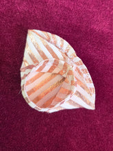 Load image into Gallery viewer, 1963 Wig Wardrobe Barbie 42508
