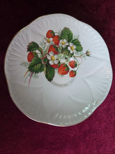 Load image into Gallery viewer, Shelley Strawberry Dogwood Floral Teacup 2602
