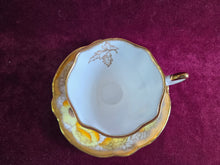 Load image into Gallery viewer, Salisbury Iceland Poppy Teacup 42510
