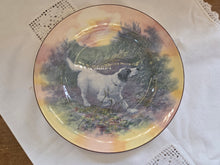 Load image into Gallery viewer, Royal Doulton Dog Plate - English Setter D6313 42509
