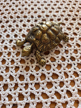 Load image into Gallery viewer, Brass Turtle 001
