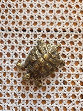 Load image into Gallery viewer, Brass Turtle 001

