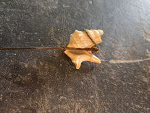 Load image into Gallery viewer, Seashell Hat Pin 2448

