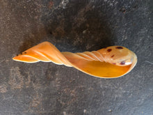 Load image into Gallery viewer, Vintage Seashell 42604
