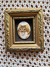 Load image into Gallery viewer, Miniature Cat Picture
