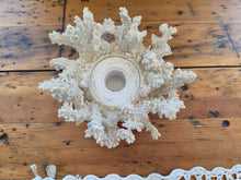 Load image into Gallery viewer, Coral Candle Holder 42606
