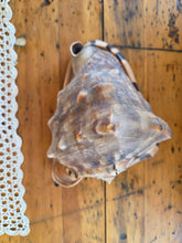 Load image into Gallery viewer, Seashell A 42606
