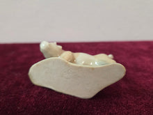 Load image into Gallery viewer, Miniature Bull WC
