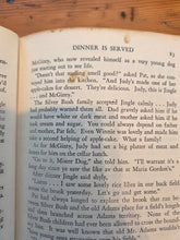 Load image into Gallery viewer, 1st Edition Copy Novel "Pat of Silverbush" 42606
