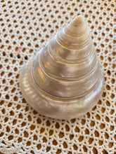 Load image into Gallery viewer, Seashells C to G 42607
