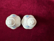 Load image into Gallery viewer, Royal Albert Blue Blossom Salt &amp; Pepper
