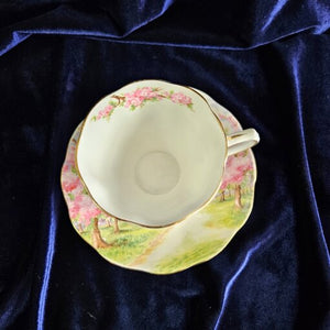 Royal Albert Blossom Time Cup & Saucer 42506