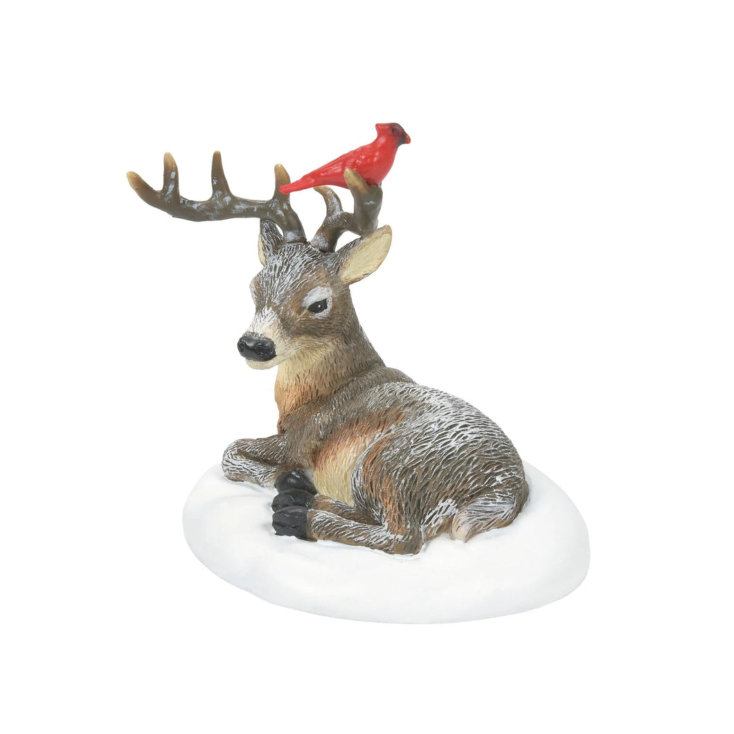 Department 56 Christmas Villages Cardinal Christmas Deer