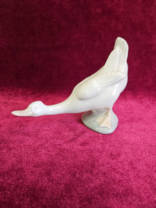 Nao Suspicious Duck 42308