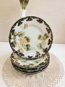 Antique Hand Painted Porcelain Plates 42508