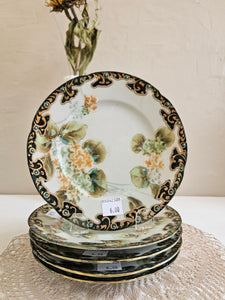 Antique Hand Painted Porcelain Plates 42508