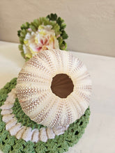 Load image into Gallery viewer, Dried Sea Urchin 001
