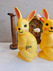 Bunny Blowmold Easter Candy Containers (Pick One) KF