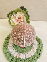 Load image into Gallery viewer, Dried Sea Urchin 001

