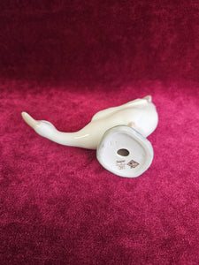 Nao Suspicious Duck 42308