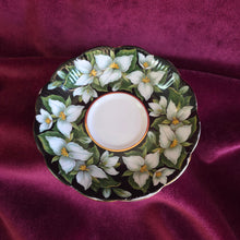 Load image into Gallery viewer, Royal Albert Flora Series “Trillium” Cup and Saucer 025
